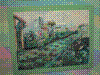 flower show2004 144.jpg